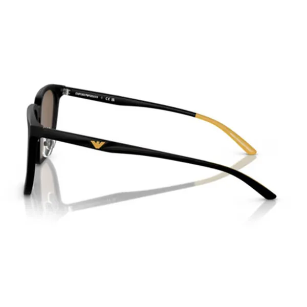 Kính Mát Nam Emporio Armani 0EA4215D 50017356 Màu Nâu Đen