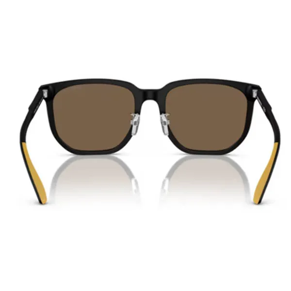 Kính Mát Nam Emporio Armani 0EA4215D 50017356 Màu Nâu Đen