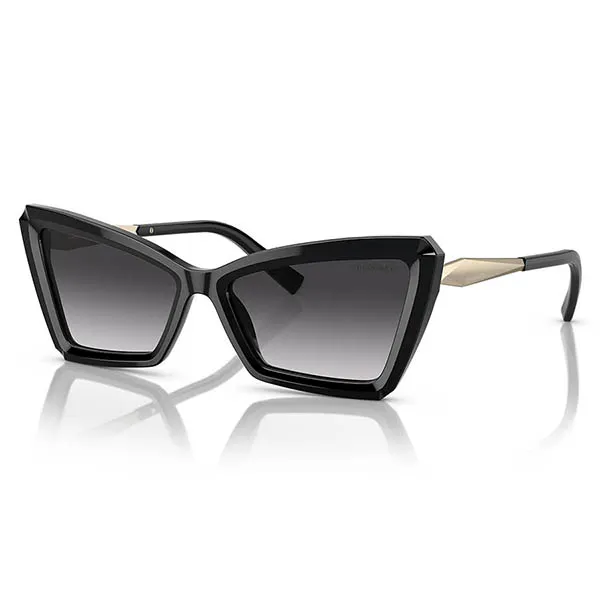 Kính Mát Nữ Tiffany & Co. 0TF4203 80013C56 Màu Đen