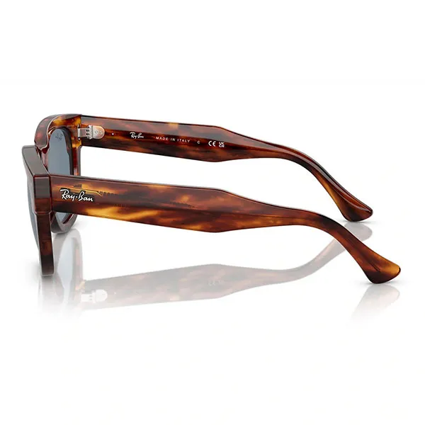 Kính Mát Rayban 0RB0298SF_954/6253.CS Màu Havana Đậm - Kính mắt - Vua Hàng Hiệu