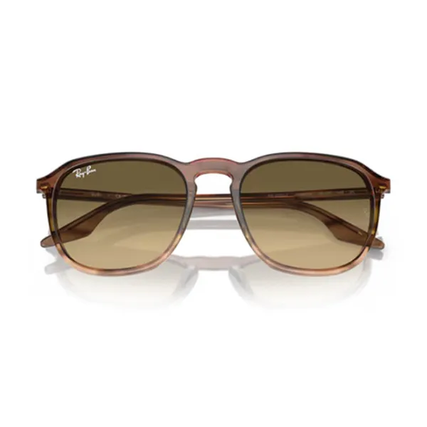 Kính Mát Unisex Rayban 0RB2203F 13920A55 Màu Nâu Gradient - Kính mắt - Vua Hàng Hiệu