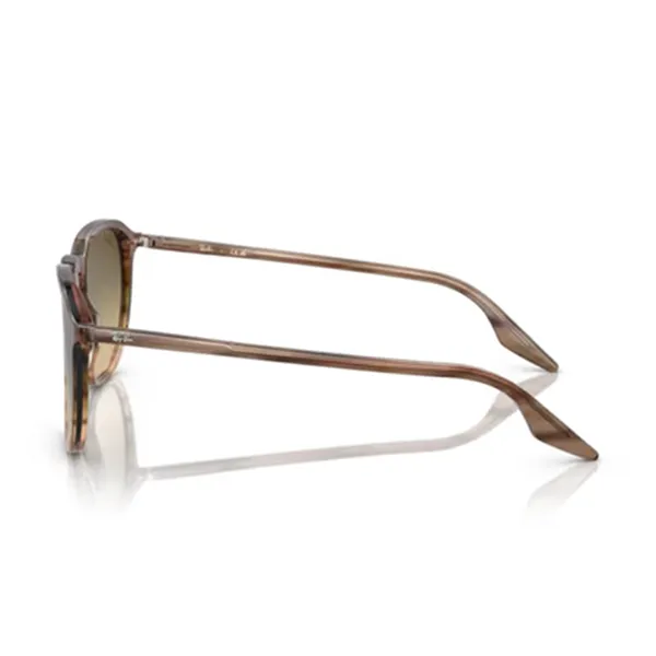 Kính Mát Unisex Rayban 0RB2203F 13920A55 Màu Nâu Gradient - Kính mắt - Vua Hàng Hiệu