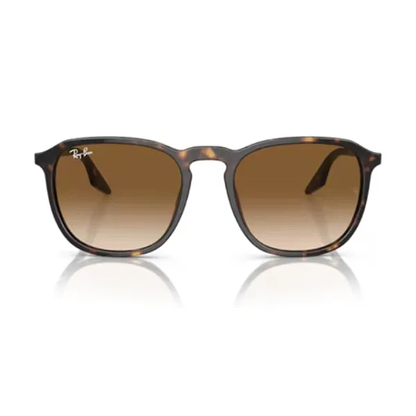 Kính Mát Unisex Rayban 0RB2203F 902/5155 Nâu Havana