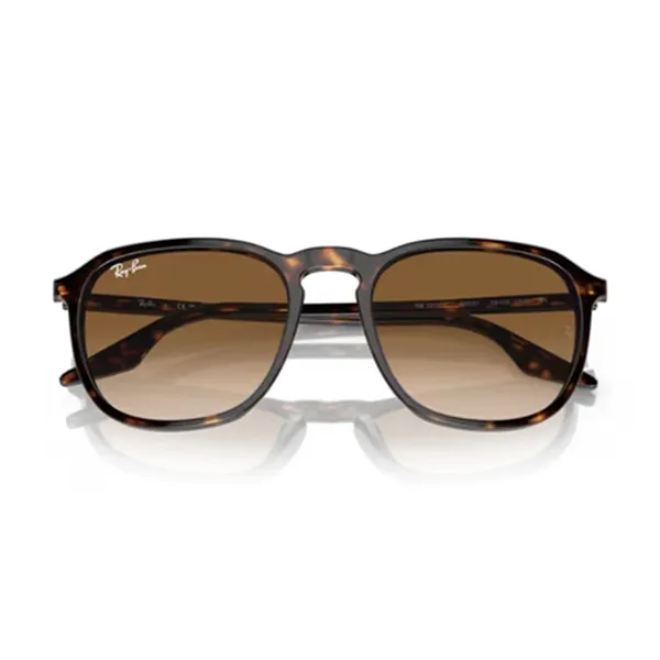 Kính Mát Unisex Rayban 0RB2203F 902/5155 Nâu Havana