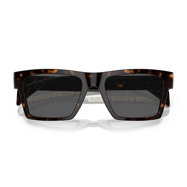 Kính Mát Unisex Versace Sunglasses 0VE4459F 314/8754 Màu Xám/Nâu Havana