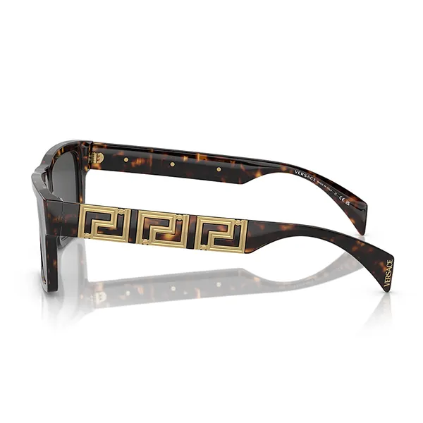 Kính Mát Unisex Versace Sunglasses 0VE4459F 314/8754 Màu Xám/Nâu Havana