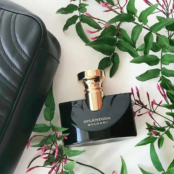 Nước Hoa Nữ Bvlgari Splendida Jasmin Noir EDP 100ml - Nước hoa - Vua Hàng Hiệu