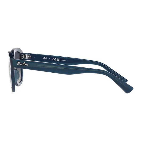 Kính Mát Unisex Rayban Erik Sunglasses RB4398 667678 Màu Xanh Lam - Kính mắt - Vua Hàng Hiệu