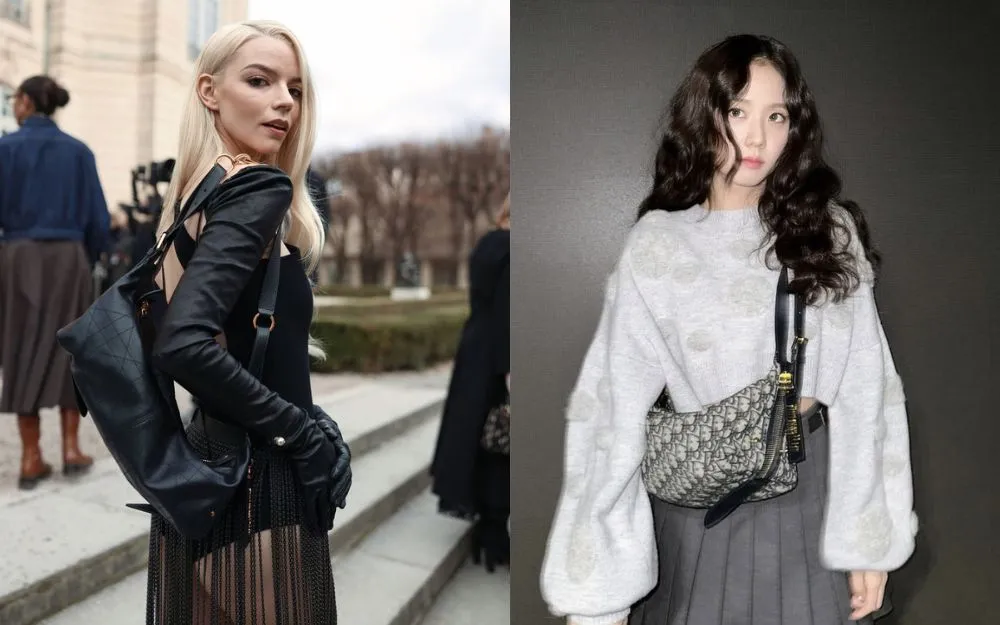 Túi Đeo Chéo Dior - 2