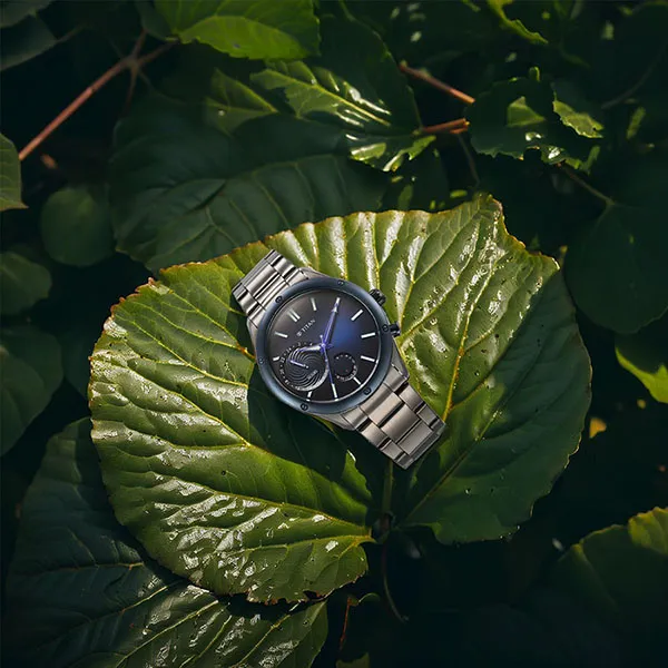 Đồng Hồ Nam Titan Stellar 10009KM01 Màu Xám