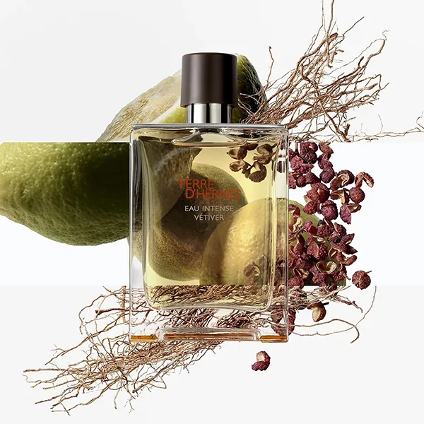 Nước Hoa Nam Hermès Terre D'Hermès Eau Intense Vétiver EDP 100ml