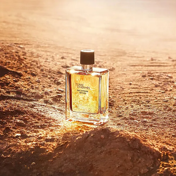 Nước Hoa Nam Hermès Terre D'Hermès Eau Intense Vétiver EDP 100ml