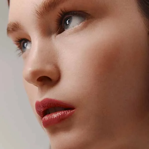 Son Hermès Rouge Hermès Silky Lipstick Shine 21 Rose Épicé Màu Hoa Hồng Khô
