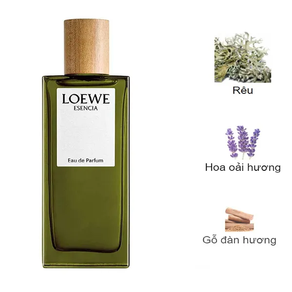 Nước Hoa Nam Loewe Esencia Pour Homme EDP 150ml - Nước hoa - Vua Hàng Hiệu