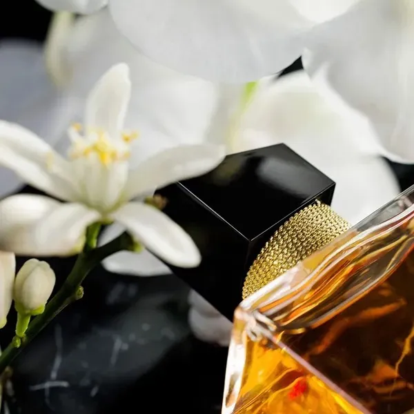 Nước Hoa Nữ Yves Saint Laurent YSL Libre Le Parfum 30ml
