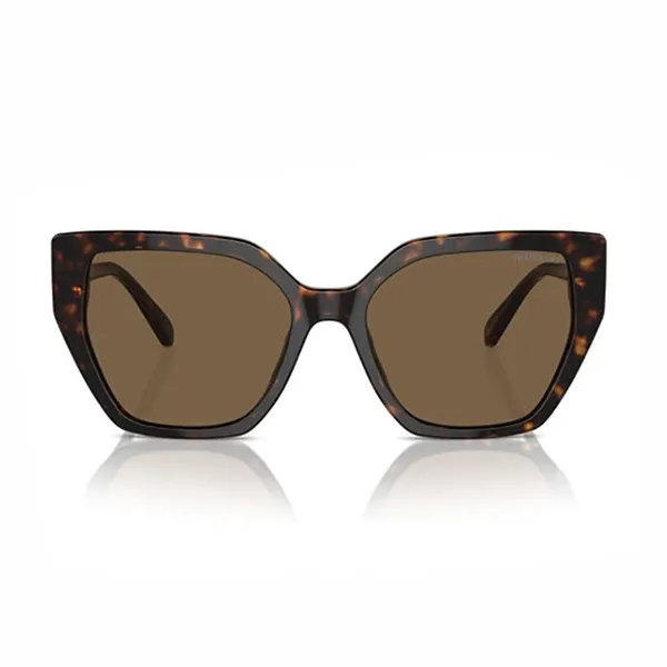 Kính Mát Nữ Swarovski SK6016 100273 Dark Sunglasses Màu Nâu Havana - Kính mắt - Vua Hàng Hiệu