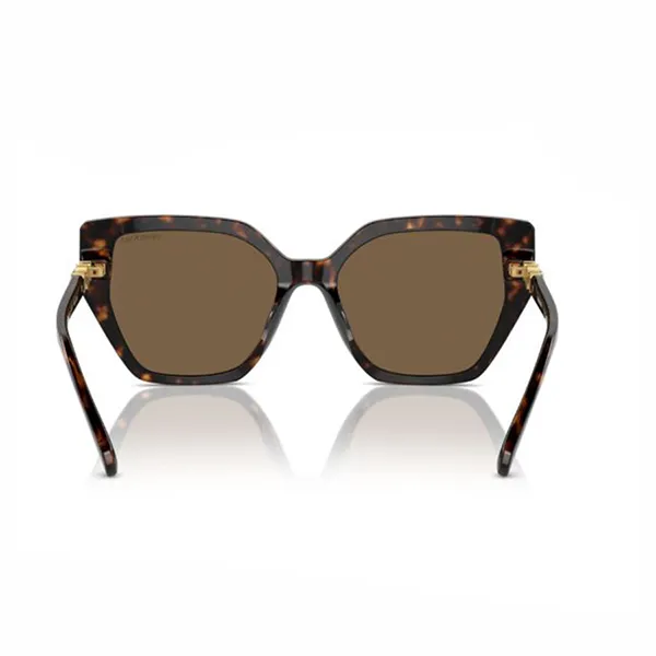 Kính Mát Nữ Swarovski SK6016 100273 Dark Sunglasses Màu Nâu Havana - Kính mắt - Vua Hàng Hiệu