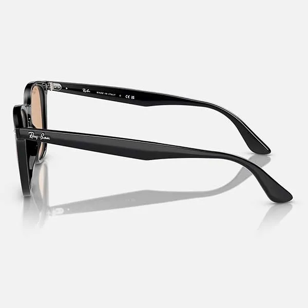 Kính Mát Rayban RB4258F 601/93 Sunglasses Màu Nâu Đen - Kính mắt - Vua Hàng Hiệu