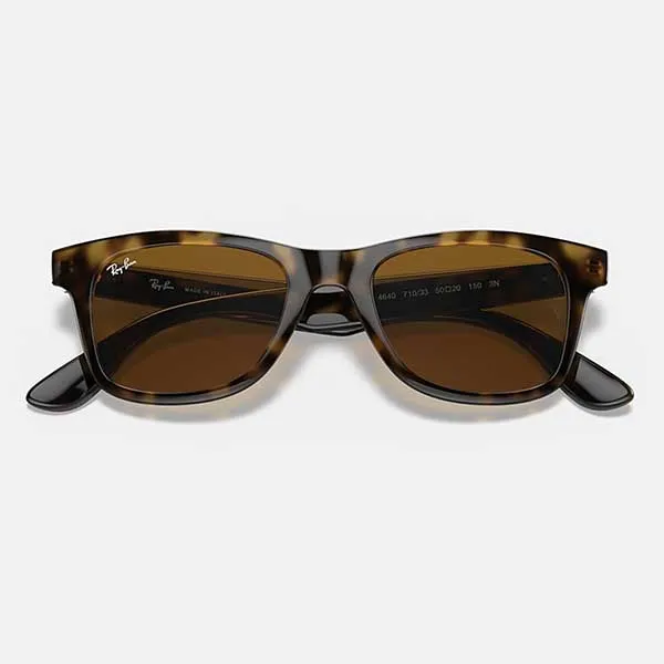 Kính Mát Rayban RB4640 710/33 50 Sunglasses Màu Nâu - Kính mắt - Vua Hàng Hiệu