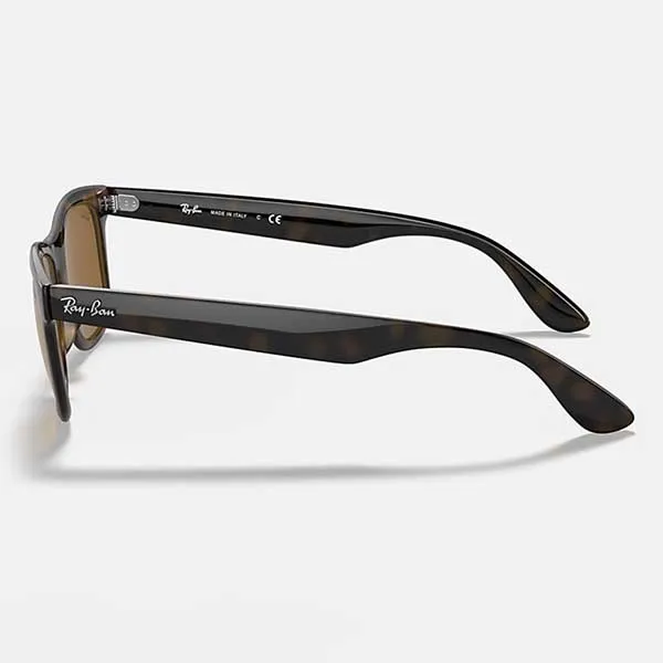 Kính Mát Rayban RB4640 710/33 50 Sunglasses Màu Nâu - Kính mắt - Vua Hàng Hiệu