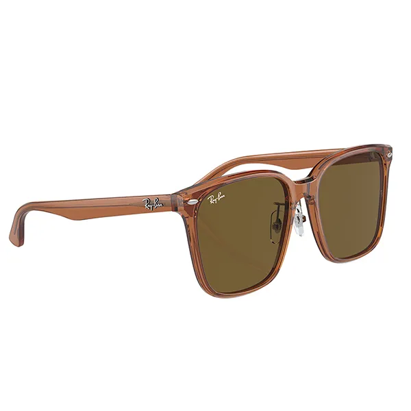 Kính Mát Rayban Sunglasses RB2206D 663673 57-18 Màu Nâu