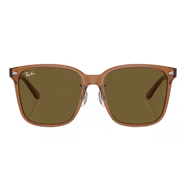 Kính Mát Rayban Sunglasses RB2206D 663673 57-18 Màu Nâu