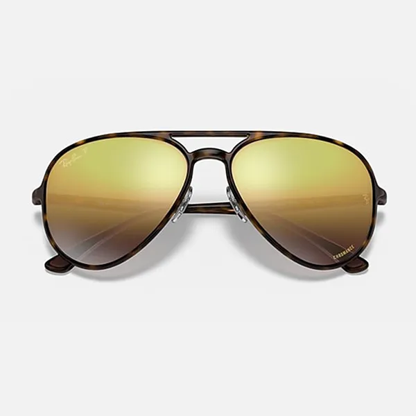 Kính Mát Unisex Rayban RB4320CH 710/6B Màu Nâu Đồi Mồi