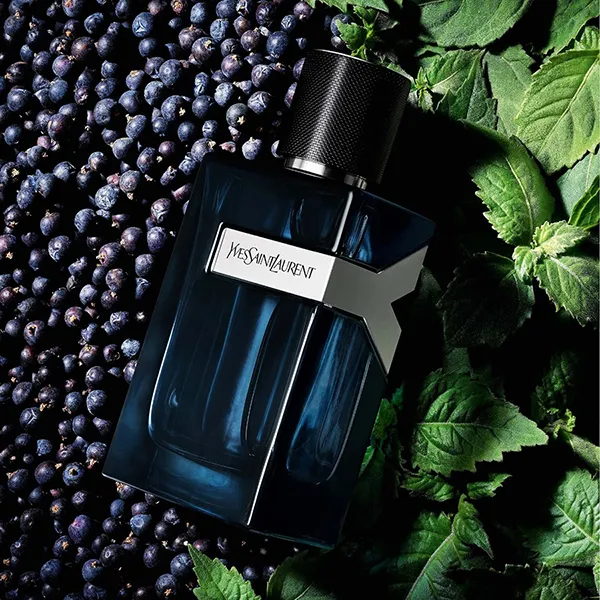 Nước Hoa Nam Yves Saint Laurent YSL Y Eau De Parfum Intense 60ml - Nước hoa - Vua Hàng Hiệu