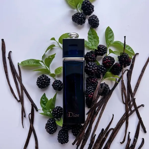 Nước Hoa Nữ Dior Addict Eau De Parfum (EDP) 100ml - Nước hoa - Vua Hàng Hiệu