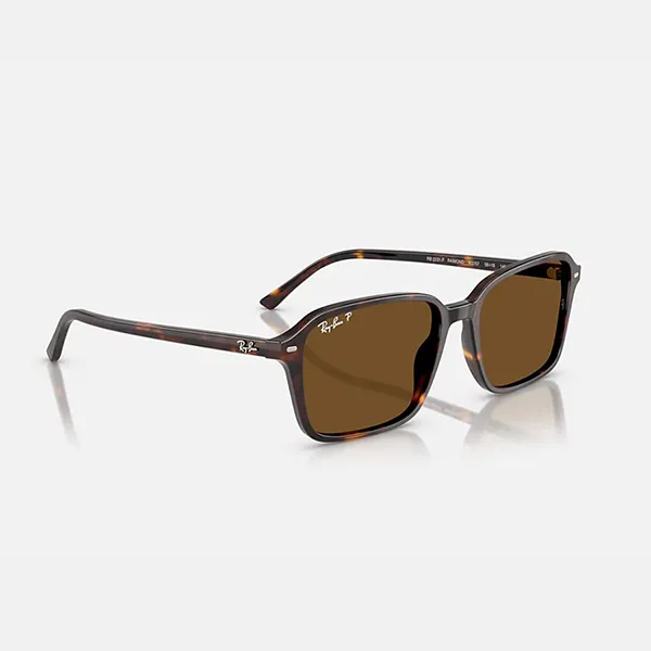 Kính Mát Rayban Raimond RB2231F 902/57 Brown Polarized Màu Nâu Havana