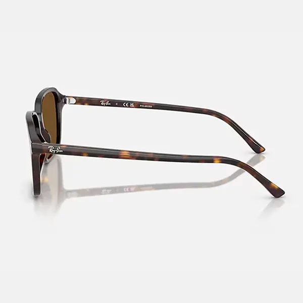 Kính Mát Rayban Raimond RB2231F 902/57 Brown Polarized Màu Nâu Havana