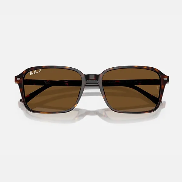 Kính Mát Rayban Raimond RB2231F 902/57 Brown Polarized Màu Nâu Havana