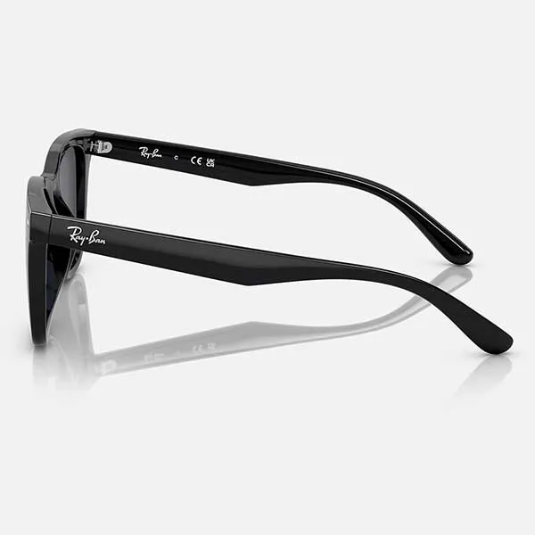 Kính Mát Unisex Rayban Grey RB4391D 601/87 Màu Xám Đen