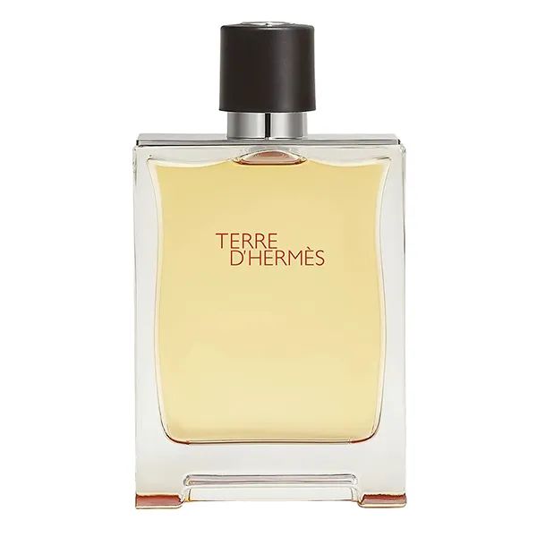 Nước Hoa Nam Hermès Terre D'hermès Paris Parfum Pure Perfume 200ml
