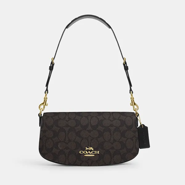 Túi Đeo Vai Nữ Coach Andrea Shoulder Bag In Signature Canvas CV973 Màu Nâu Đen