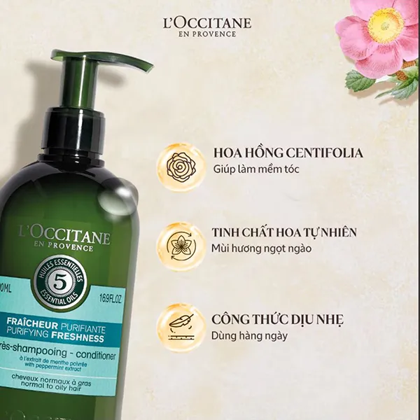 Dầu Xả Thanh Lọc Dành Cho Da Đầu Dầu L'Occitane Purifying Freshness Conditioner 250ml - Chăm sóc tóc - Vua Hàng Hiệu