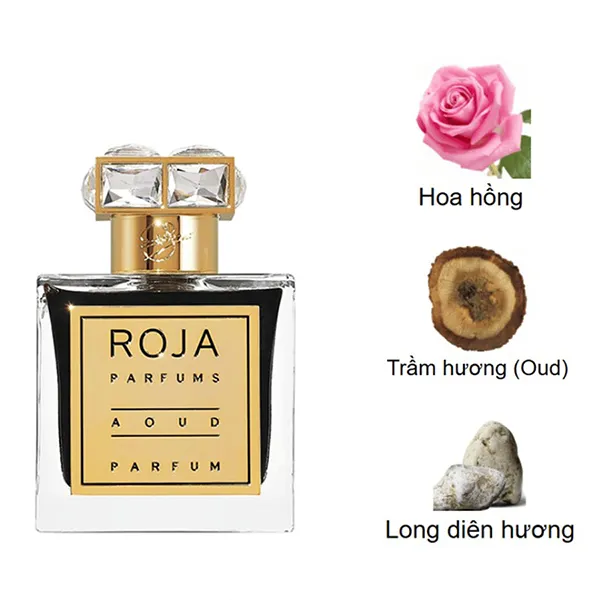 Nước Hoa Unisex Roja Parfums Aoud Parfum 100ml - Nước hoa - Vua Hàng Hiệu