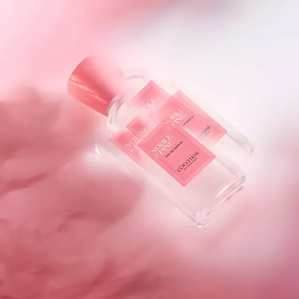 Nước Hoa Unisex L'Occitane Noble Epine EDP 50ml - Nước hoa - Vua Hàng Hiệu