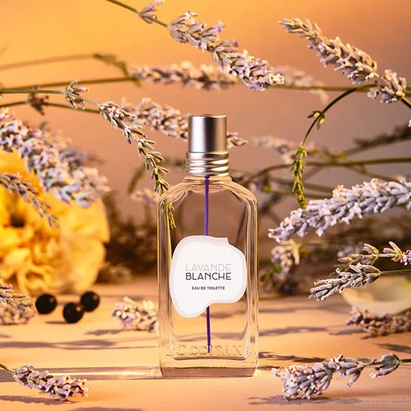 Nước Hoa Unisex L'Occitane Noble Epine EDT 50ml - Nước hoa - Vua Hàng Hiệu