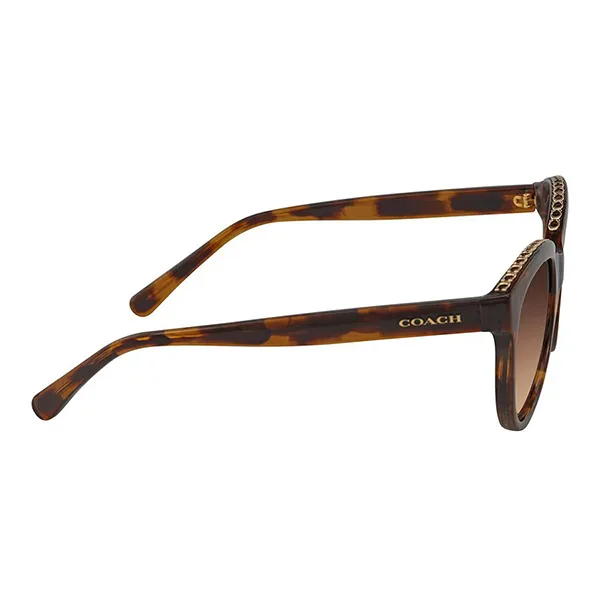 Kính Mát Coach Round Sunglasses HC8297U 512074 52 Màu Nâu Havana