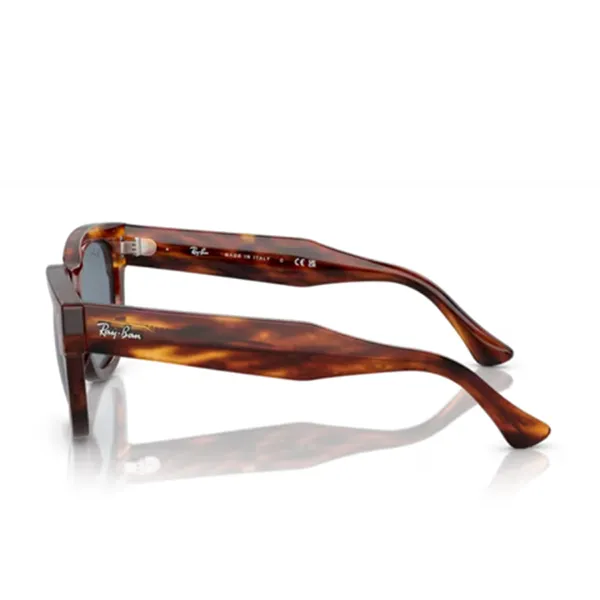 Kính Mát Unisex Rayban 0RB0298SF 954/6253 Màu Nâu