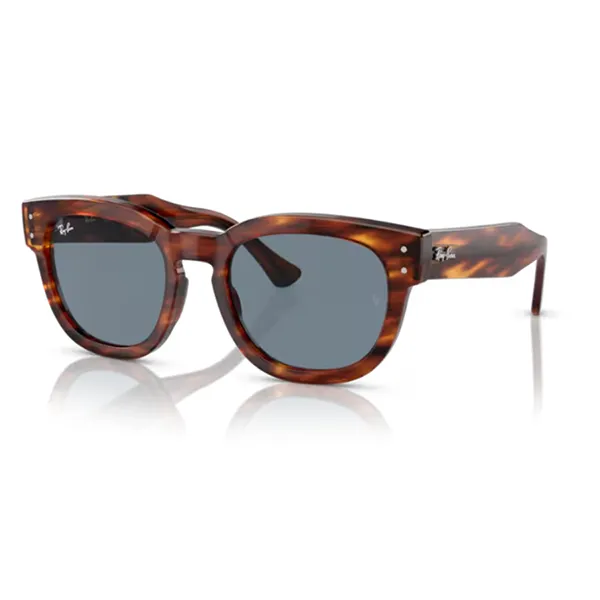Kính Mát Unisex Rayban 0RB0298SF 954/6253 Màu Nâu