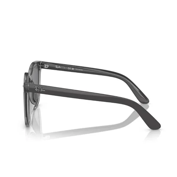 Kính Mát Unisex Rayban Sunglasses 0RB4401D 65998157 Màu Xám