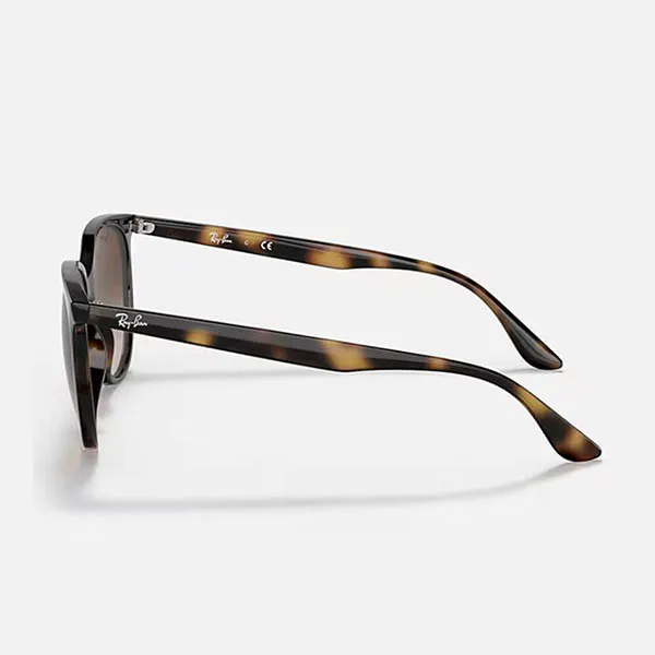 Kính Mát Unisex Rayban Sunglasses RB4378 710/13 Màu Nâu Havana