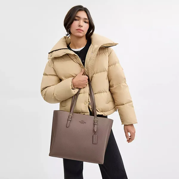 Túi Tote Nữ Coach Mollie Bag Gold/ Dark Stone CV968 Màu Xám Nâu