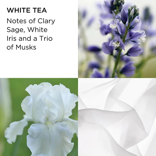 Kem Dưỡng Thể Elizabeth Arden White Tea Body Cream 400ml