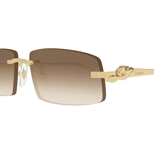 Kính Mát Cartier Sunglasses CT0505S 003 Màu Nâu - Vàng