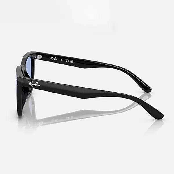 Kính Mát Rayban Sunglasses RB4391D 601/80 65-18 Màu Xanh Blue/Đen