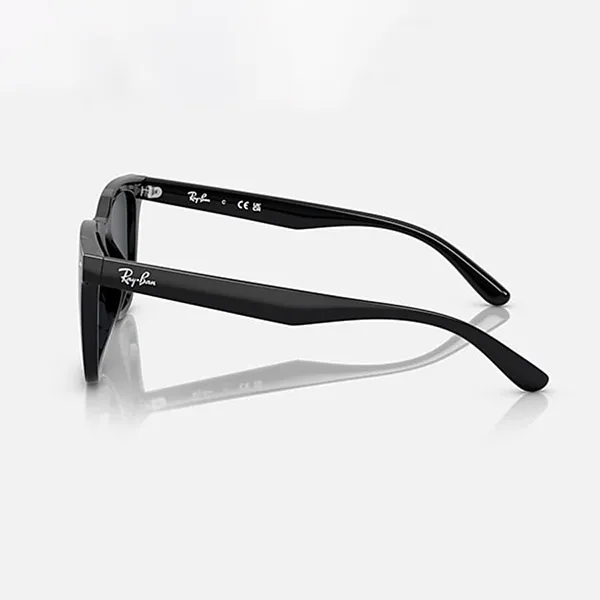Kính Mát Rayban Sunglasses RB4391D 601/87 65-18 Màu Xám/Đen