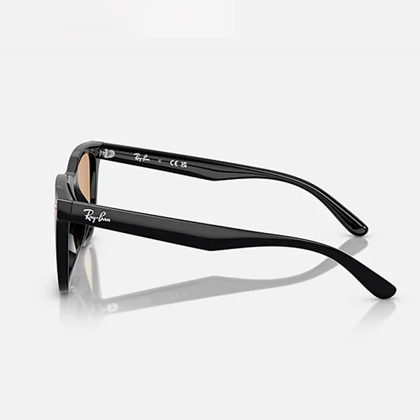 Kính Mát Rayban Sunglasses RB4391D 601/93 65-18 Màu Nâu/Đen